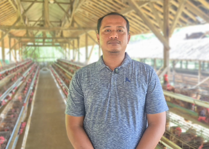 Sempat Sulit Terjual, Kini Seluruh Telur Peternak Ayam Ini Terserap Berkat MBG