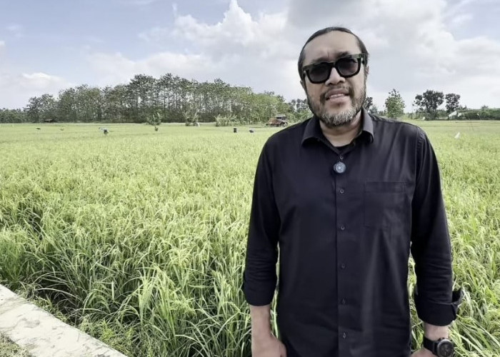 Kembali Kritisi Dedi Mulyadi, Ono Surono Sodorkan 3 Catatan, Simak Penjelasannya 