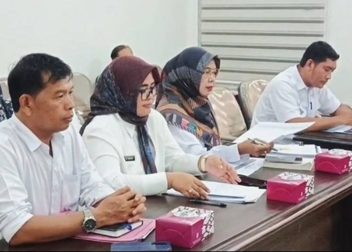 Investasi Hingga Level Desa di Cirebon, DPMPTSP Siapkan Peta Digital untuk Investor