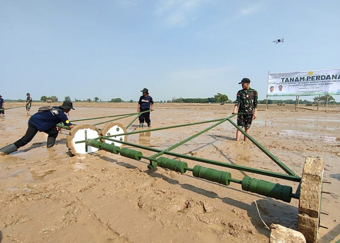 KTNA Indramayu Dukung Modernisasi Pertanian PM-AAS, Produktivitas Padi Capai 10 Ton per Hektare