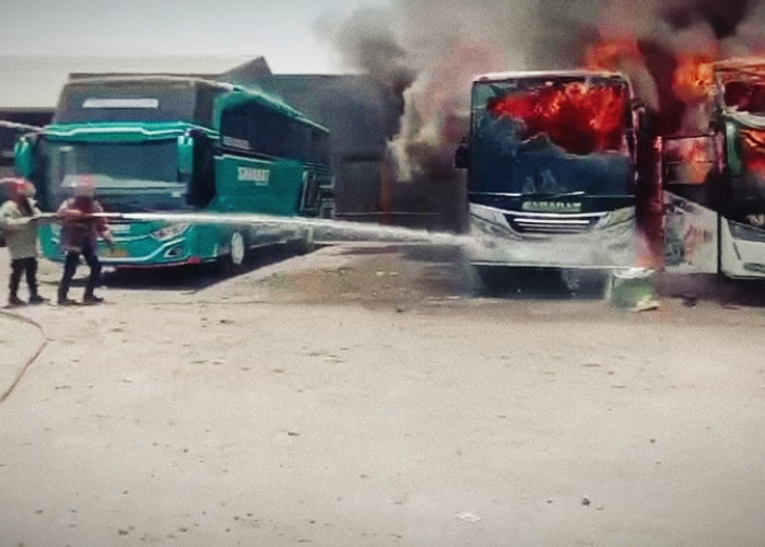 Kebakaran di Garasi Bus PO Sahabat, 5 Mobil Hangus Terbakar, Diduga Penyebab dari Korsleting Listrik