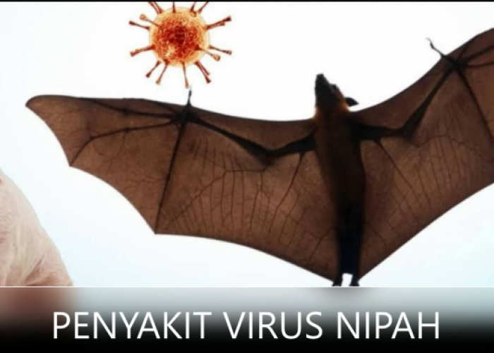Muncul Virus Nipah, Kata Ahli: Jangan Panik, Jaga Kesehatan dan Pakai Masker