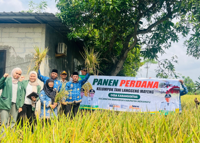 Desa di Indramayu Canangkan Program Zakat Pertanian, Potensi Dana Umat dari 628 Hektare Sawah