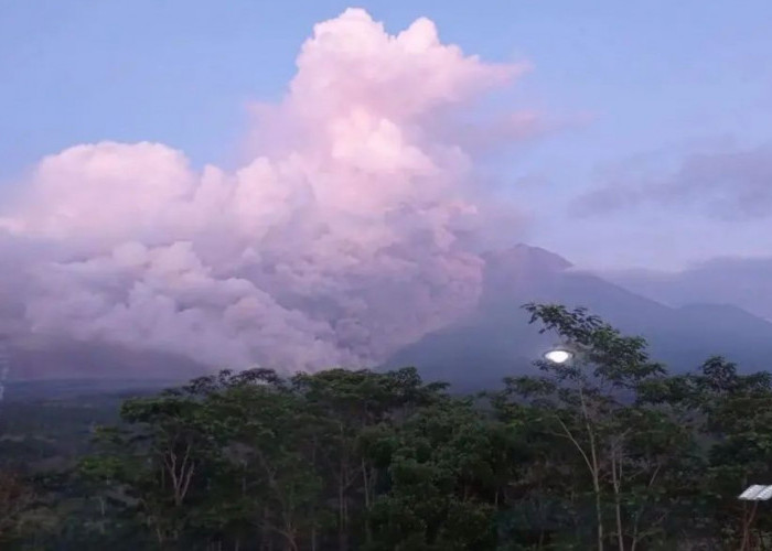 Gunung Semeru Erupsi, Dilarang Aktivitas 13 Km dari Puncak