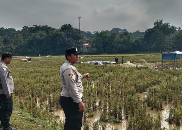 Kronologi Petani di Panongan Lor Tewas Tersambar Petir, Sempat Dilarikan ke Rumah Sakit