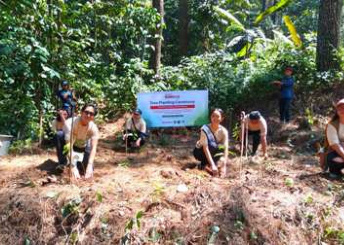 Sharp Indonesia Ubah Langkah Pelari Menjadi 600 Pohon untuk Selamatkan Habitat Elang Jawa
