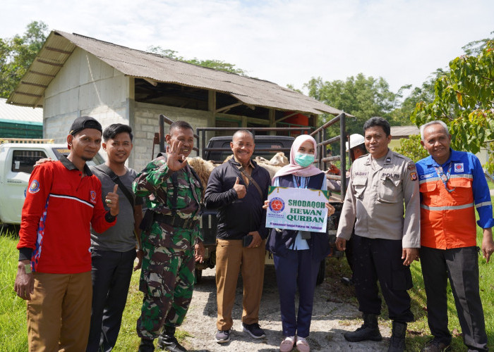 Sambut Iduladha, Indocement Cirebon Salurkan 158 Ekor Domba Kurban