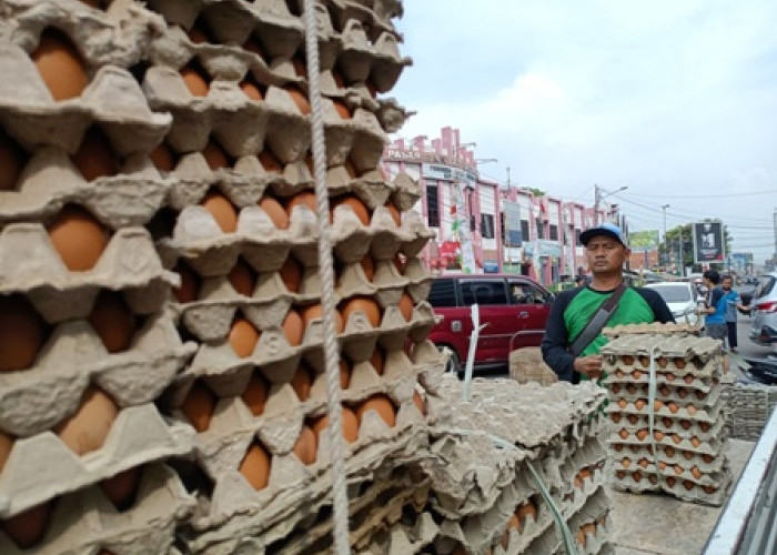 Telur Ayam Jadi Salah Satu Penyumbang Deflasi Oktober 2022