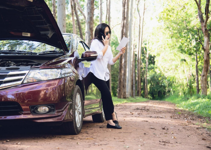 10 Mobil Bekas Paling Layak Dibeli di 2026, Mesin Bandel dan Irit BBM