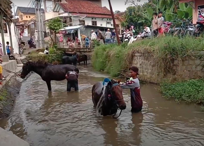 Tradisi Malam Jumat Kliwon di Kuningan, Memandikan Kuda di Sungai Surakatiga