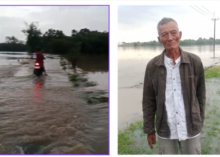 Banjir Parah Rendam Dusun Cimuncang Majalengka: Akses Utama Lumpuh, 50 Hektare Sawah Terendam