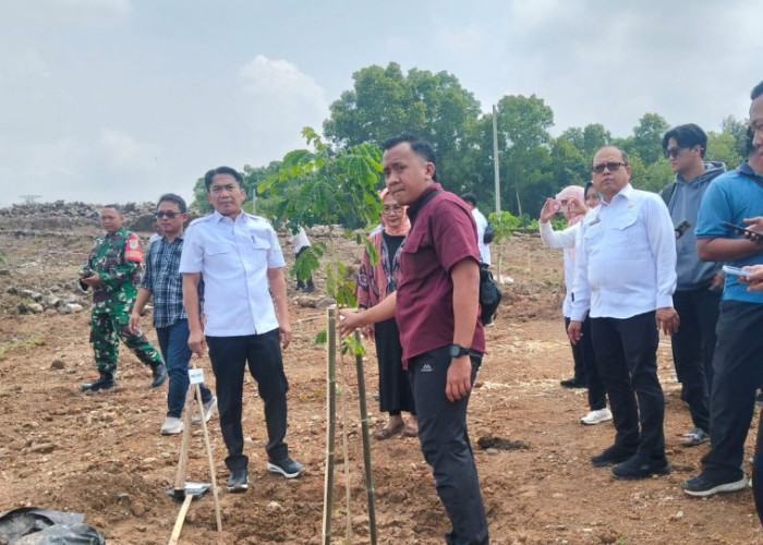 Usai Banjir, Kawasan Pusat Pemerintahan Cirebon Langsung Dihijaukan