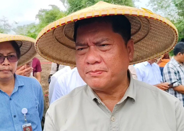 Penanaman Bersama Tanaman Sorgum, Langkah PTDI Dukung Pangan Rakyat yang Berkelanjutan