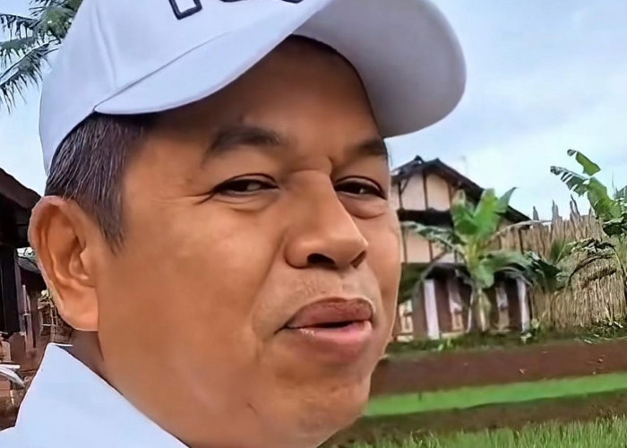 Serahkan Replika Rumah Pohon Korowai, Masyarakat Papua Doakan KDM Jaga Hutan Papua