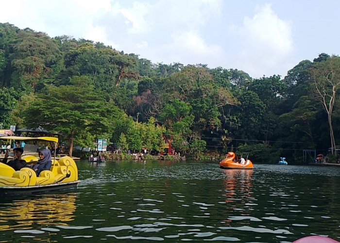 Mengungkap Fenomena 2 Wajah Situ Cipanten, Destitasi Wisata Favorit Keluarga di Majalengka