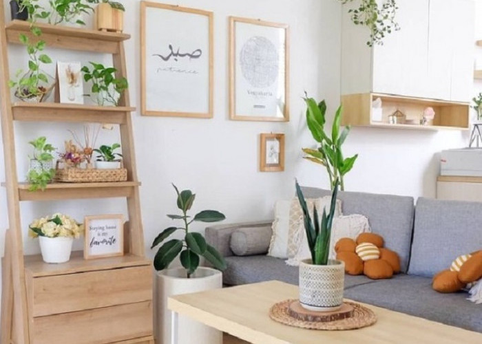 5 Tanaman Minimalis Hias Indoor yang Pas untuk Rumah Kecil, Hemat Tempat tapi Tetap Bikin Ruangan Estetik