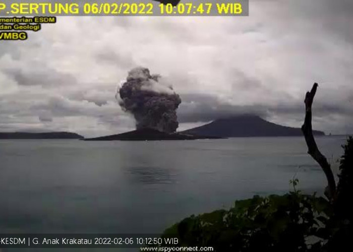 Gunung Anak Krakatau Erupsi, Statusnya Level III Alias Siaga