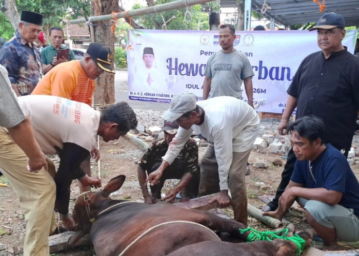 Herman Khaeron dan Ratnawati Salurkan Hewan Kurban untuk Warga Pasaleman, H Agus: Alhamdulillah 
