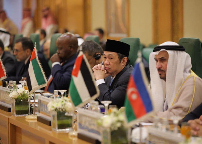 Wamenlu Anis Matta: OKI Harus Menuntut Israel Atas Kejahatan Kemanusiaan dan Terorisme