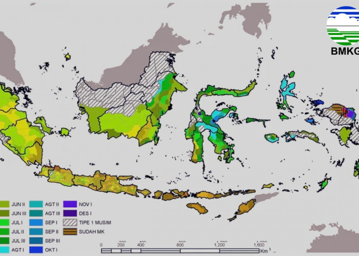 El Nino 2026 Masih Sangat Kuat, BMKG Ungkap Wilayah yang Tak Hujan hingga 87 Hari!