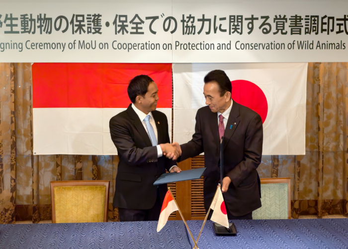 MoU Menhut dengan Jepang: Diplomasi Hijau hingga Penangkaran Komodo di iZoo Shizuoka