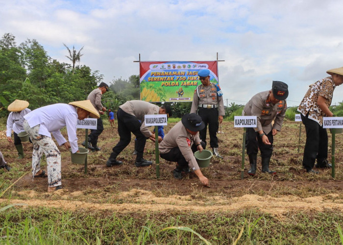 Dukung Swasembada Pangan Nasional, Kapolresta Cirebon Pimpin Penanaman Jagung Serentak