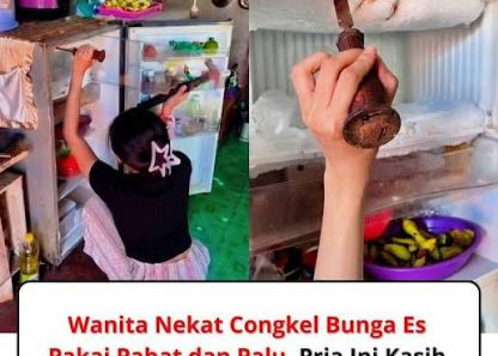 Jangan Asal Mencongkel Bunga Es Kulkas, Ini Risiko Freon Bocor dan Kulkas Rusak