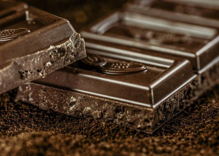 5 Mitos Tentang Coklat, Ternyata Salah Banget, Simak Juga 3 Manfaatnya Menurut Para Ahli