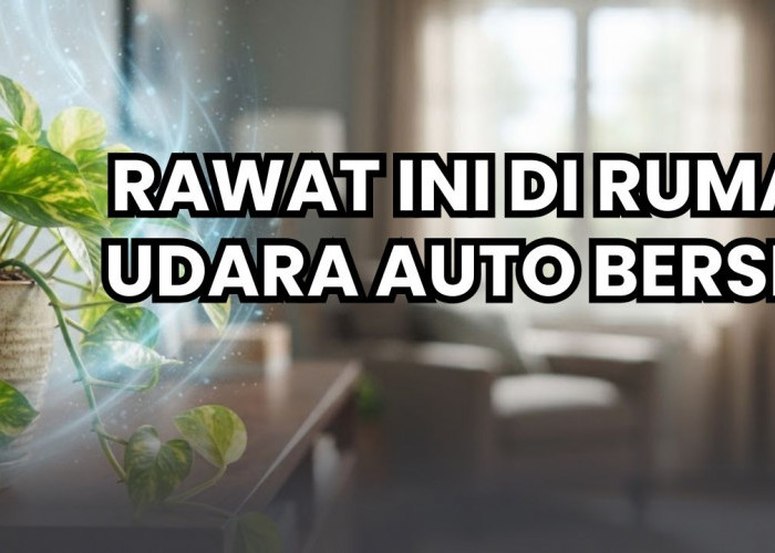 Dijamin Rumah Makin Asri Jika Merawat 5 Tanaman Hias Pemurni Udara Ini, Nomor Lima Ramah Pemula!