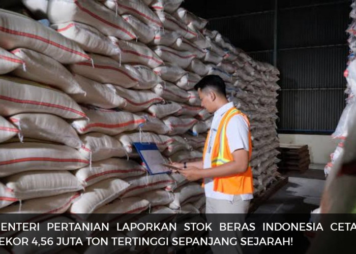 Stok Beras Indonesia Cetak Rekor 4,56 Juta Ton! Bagaimana Kondisi Harga dan Ketahanan Pangan Indonesia?