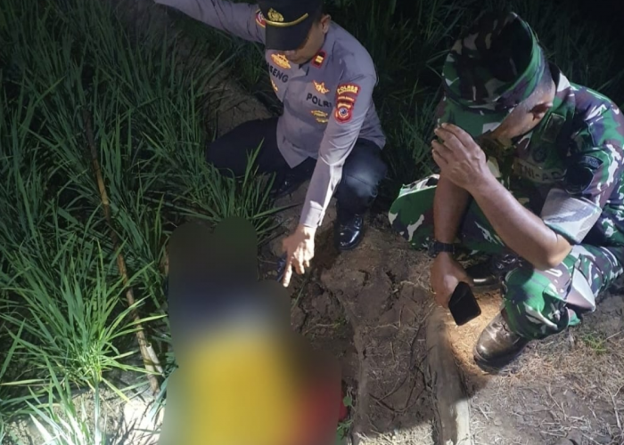 Tragis! Petani Tewas Tersengat Listrik di Sawah, Instalasi Pengendali Tikus Diduga Jadi Penyebab