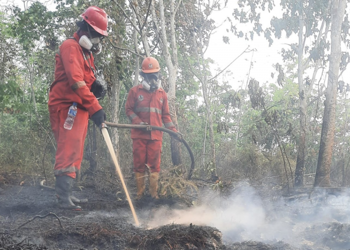 Pelaku di Balik Karhutla Jadi Target Polri, Termasuk Pihak yang Raup Keuntungan