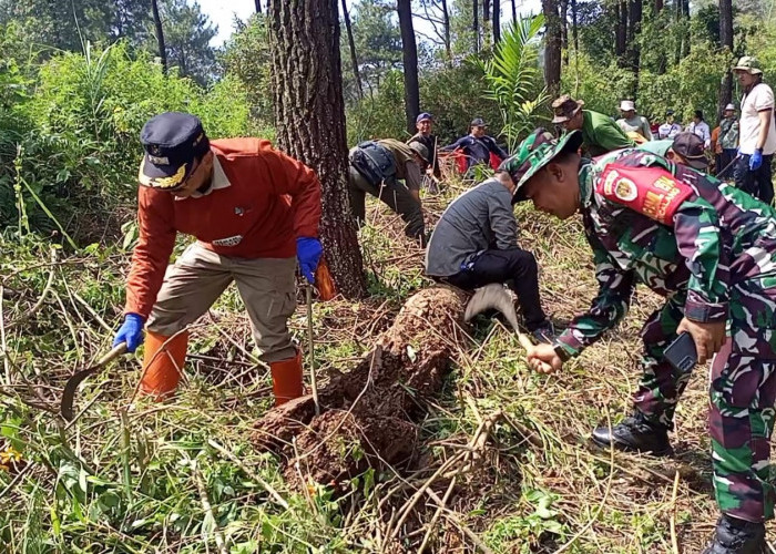 Taktik Pemkab Kuningan Antisipasi Kebakaran Gunung Ciremai, Ini Dia