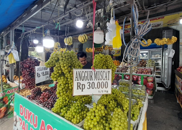 Geger Anggur Shine Muscat Mengadung Zat Kimia Berbahaya, Pedagang di Cirebon Terkena Imbasnya