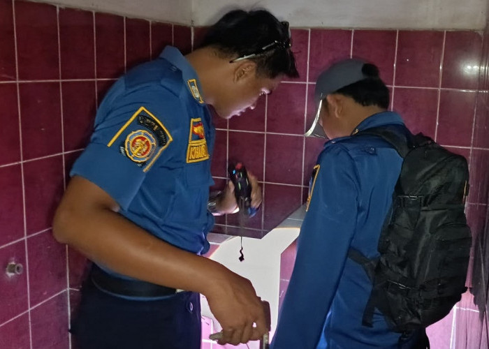 Musim Hujan Picu Ular Masuk Rumah, Damkar Indramayu Tangani 175 Kasus