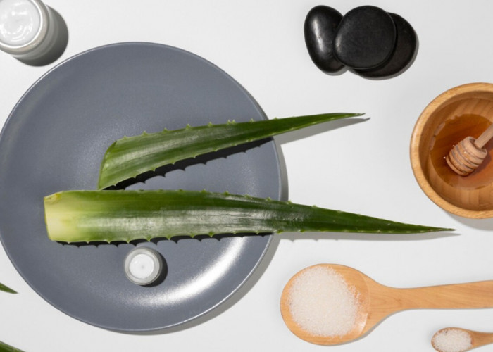 Rahasia Alami dari Pekarangan Rumah: Cara Lidah Buaya Atasi Kulit Kering dan Jerawat