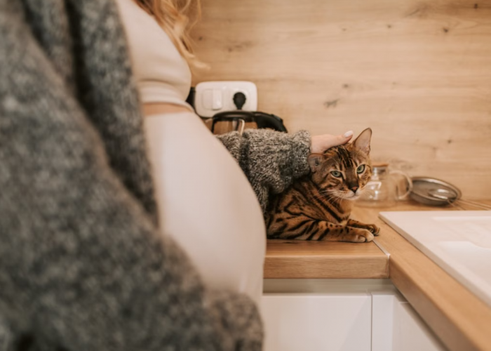 Sedang Promil tapi Punya Kucing? Ini Tips Aman Merawatnya agar Terhindar dari Risiko Toksoplasmosis