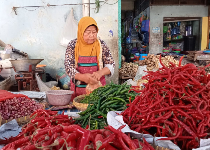 Harga Cabai di Kota Cirebon Turun
