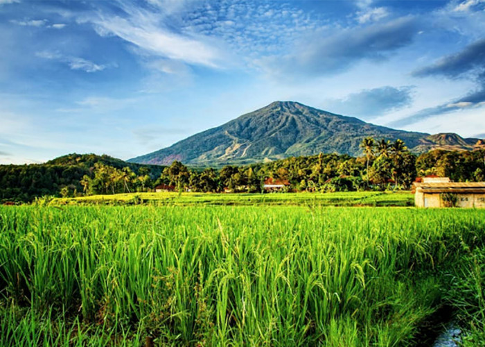 Pendakian Gunung Ciremai Dibuka Lagi, Ada 6 Peraturan Wajib dari BTNGC untuk Pendaki