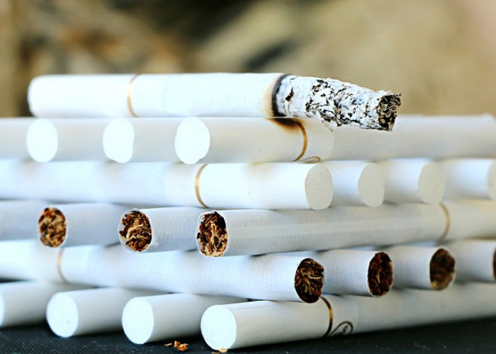 Ada Manfaat Tersembunyi Dibalik Stigma Buruk dari Rokok, Apa Itu?