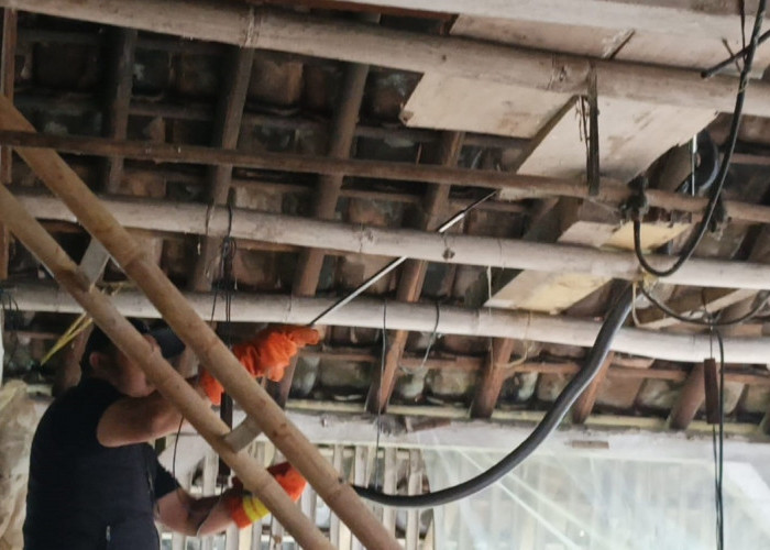 TEGANG! King Kobra Besar Melawan saat Dievakuasi Damkar di Kuningan