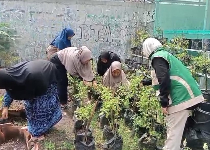 Dari RW Tembus Pusat, Gerakan KPLH Pekalipan Jadi Sorotan Program Swasembada Pangan