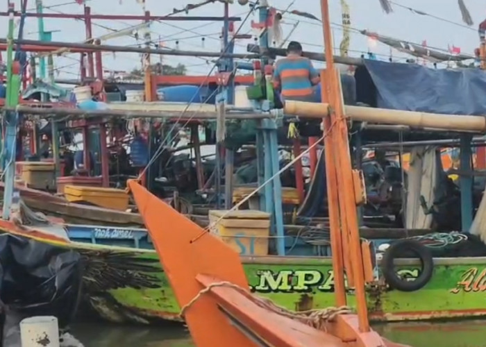 Koperasi Nelayan Mati Suri, Nelayan Cirebon Terpaksa Jual Ikan Murah ke Bakul