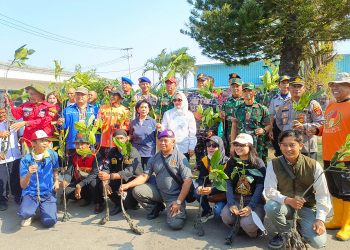 Gelar Aksi Mamo My Darling ke-5, Elemen Masyarakat Kota Cirebon Tanam 1000 Mangrove 