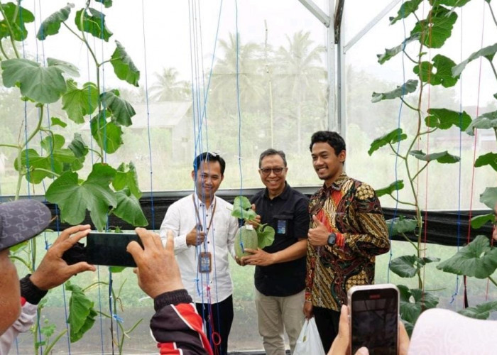 Implementasi KiDi IoT SMK Miftahussalam: Dukung Kreativitas Siswa Ciptakan Solusi Smart Garden