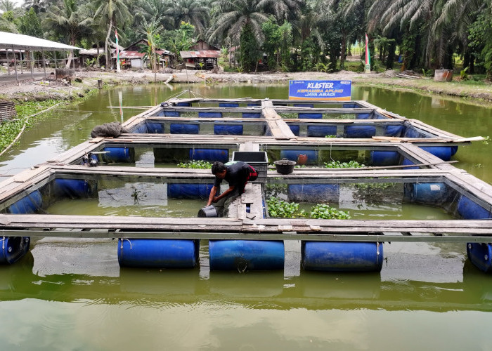 Terus Bergeliat, Pemberdayaan BRI Ungkit Perekonomian Desa Empang Baru