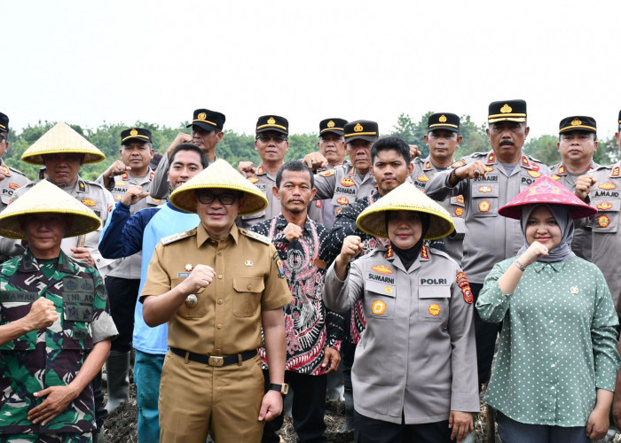 Kabupaten Cirebon Dorong Swasembada Pangan: Penanaman Jagung Serentak di 1 Juta Hektare