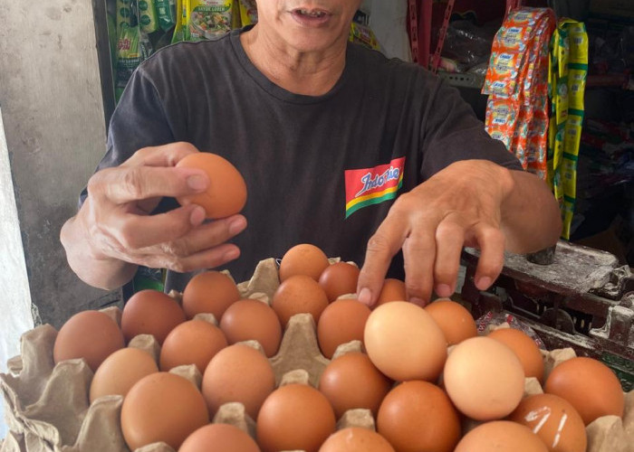 Harga Telur Ayam di Pasaran Melonjak Tajam, Pedagang Keluhkan Kenaikan yang Tak Biasa