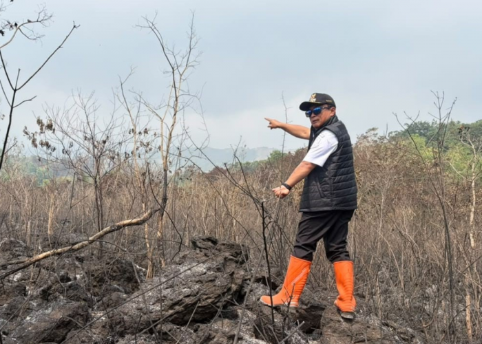 40 Hektare Hutan Gunung Ciremai Terbakar, Angin Kencang Bikin Api Sulit Dikendalikan