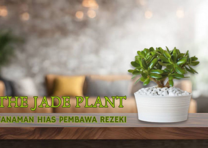 Bukan Sekadar Dekorasi, 5 Tanaman Hias Ini Dipercaya Bawa Hoki ke Rumah!